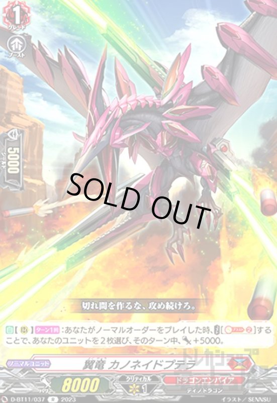画像1: 翼竜カノネイドプテラ【R】 (1)