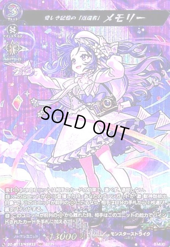 画像1: 愛しき記憶の「返還者」 メモリー(MSR)(DZ-BT12/MSR22) (1)