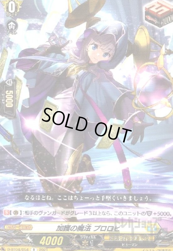 画像1: 加護の魔法プロロビ (1)