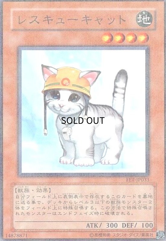 画像1: レスキューキャット(FET-JP033)(ノーマルパラレル) (1)