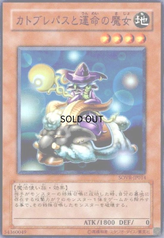 画像1: カトブレパスと運命の魔女(スーパー) (1)