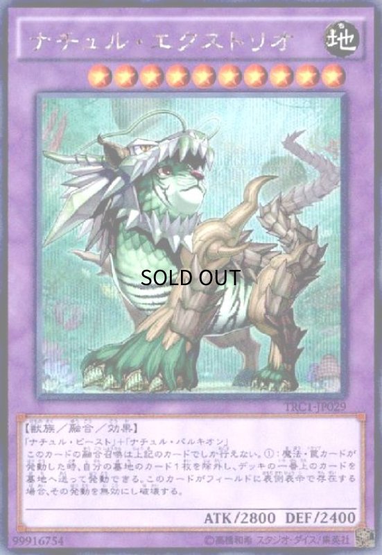 画像1: ナチュルエクストリオ(シークレット) (1)