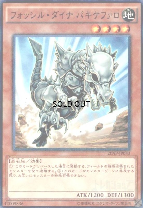 画像1: フォッシルダイナパキケファロ(ノーマルパラレル) (1)