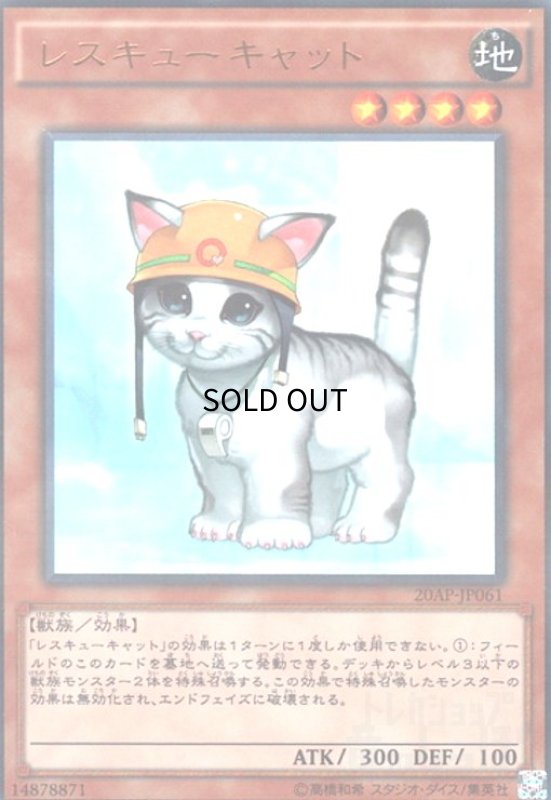 画像1: レスキューキャット(パラレル) (1)
