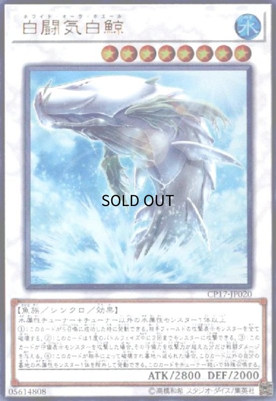 画像1: 白闘気白鯨(ウルトラ) (1)