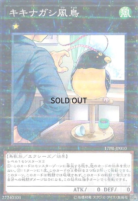 画像1: キキナガシ風鳥(ノーマルパラレル) (1)