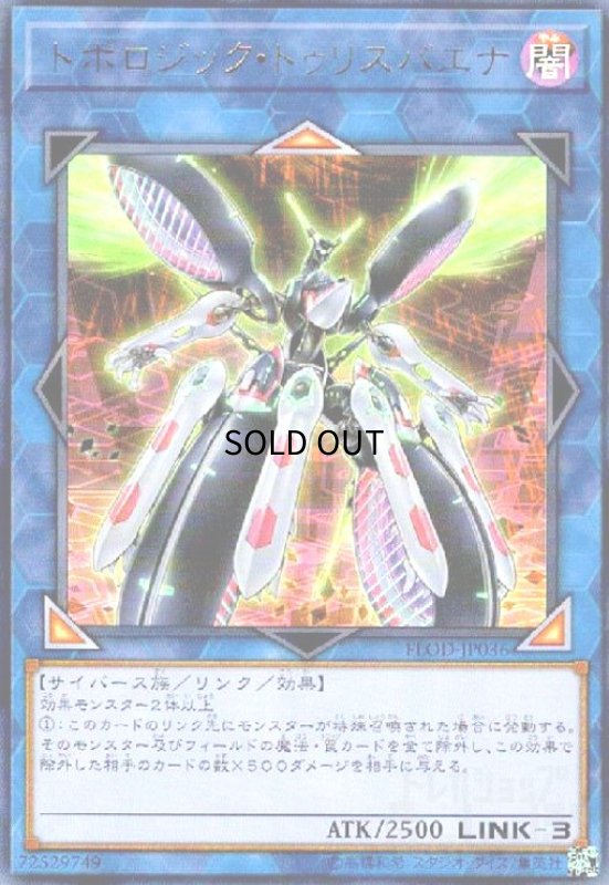 画像1: トポロジックトゥリスバエナ(ウルトラ) (1)