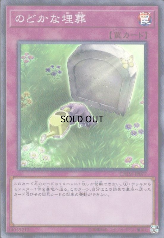 画像1: のどかな埋葬(スーパー) (1)