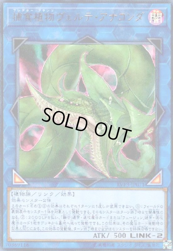 画像1: 捕食植物ヴェルテアナコンダ(ウルトラ) (1)