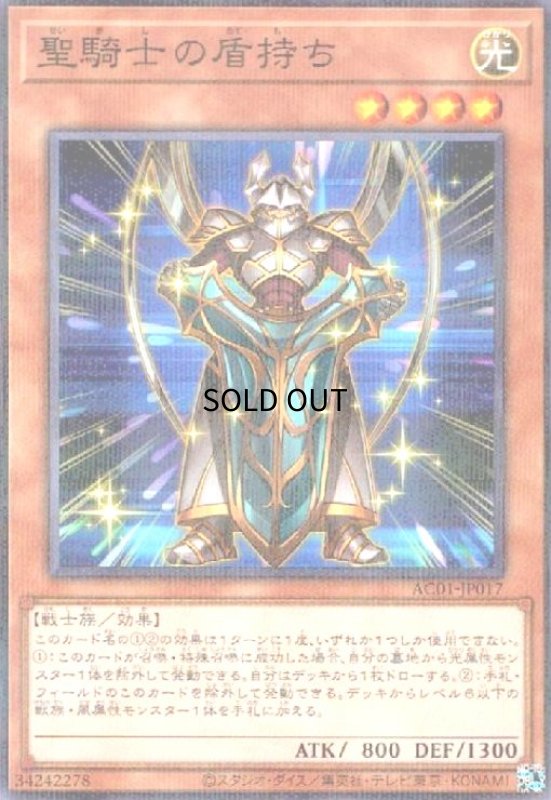 画像1: 聖騎士の盾持ち(ノーマルパラレル) (1)
