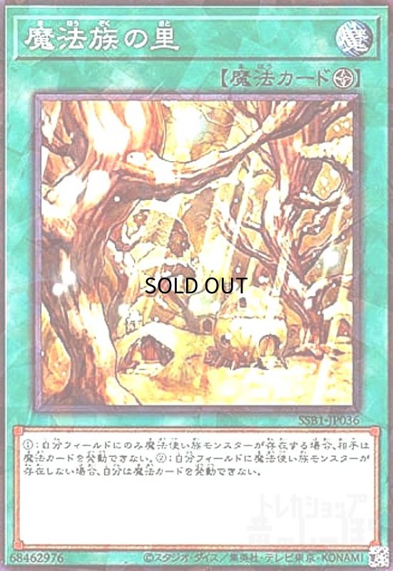 画像1: 魔法族の里(ノーマルパラレル) (1)