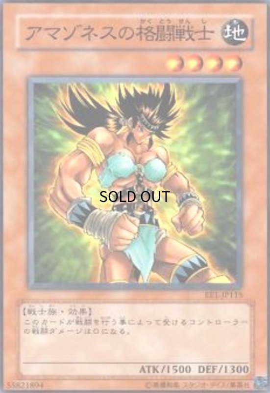 画像1: アマゾネスの格闘戦士(高価N) (1)