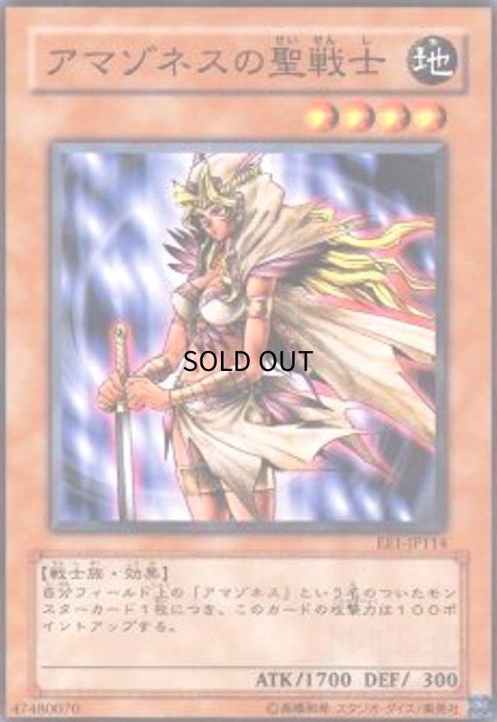 画像1: アマゾネスの聖戦士(高価N) (1)