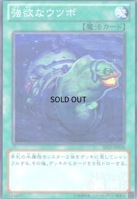 画像1: 強欲なウツボ(高価N) (1)