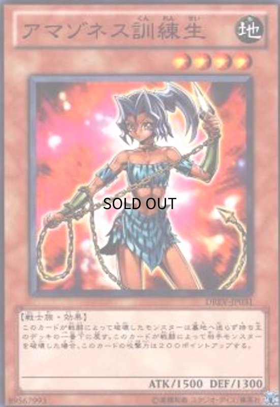 画像1: アマゾネス訓練生(高価N) (1)