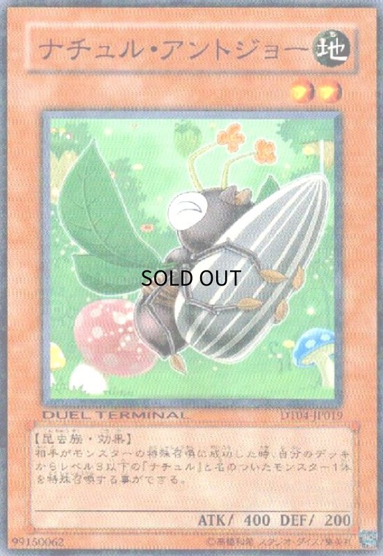 画像1: ナチュルアントジョー(高価N)(DT) (1)