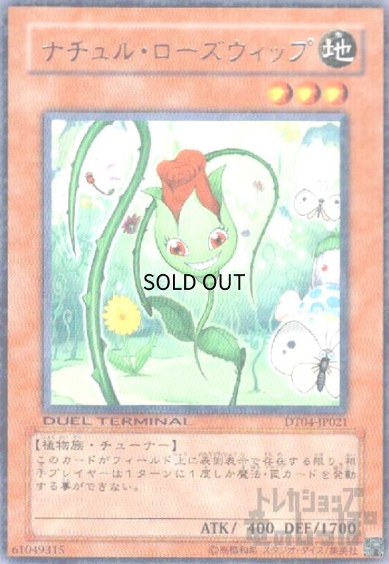 画像1: ナチュルローズウィップ(高価N)(DT) (1)