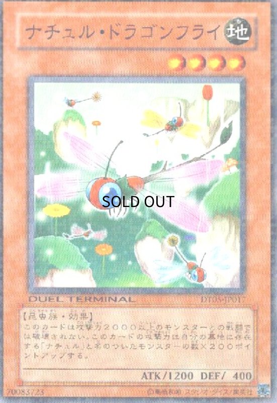 画像1: ナチュルドラゴンフライ(高価N)(DT) (1)