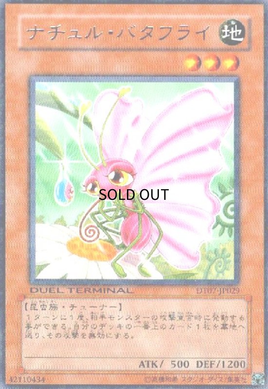 画像1: ナチュルバタフライ(高価N)(DT) (1)