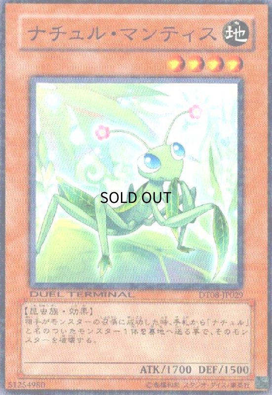 画像1: ナチュルマンティス(高価N)(DT) (1)