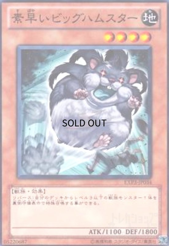 画像1: 素早いビッグハムスター(高価N) (1)
