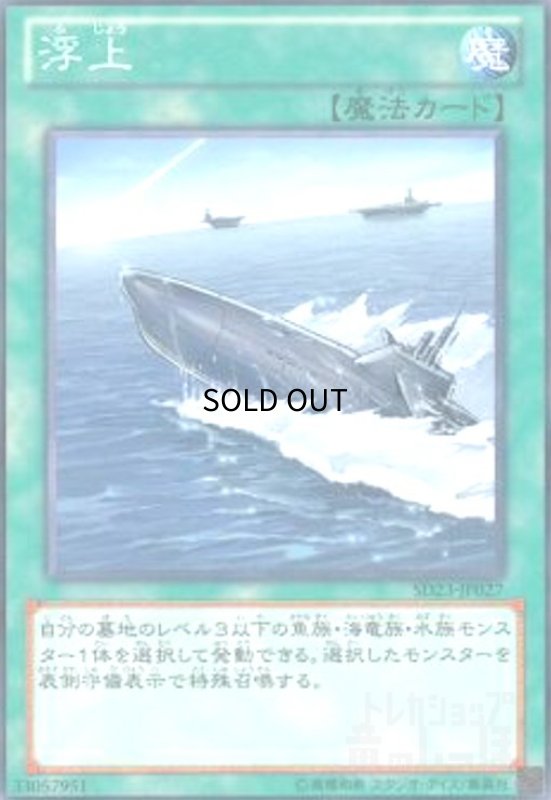 画像1: 浮上(高価N) (1)