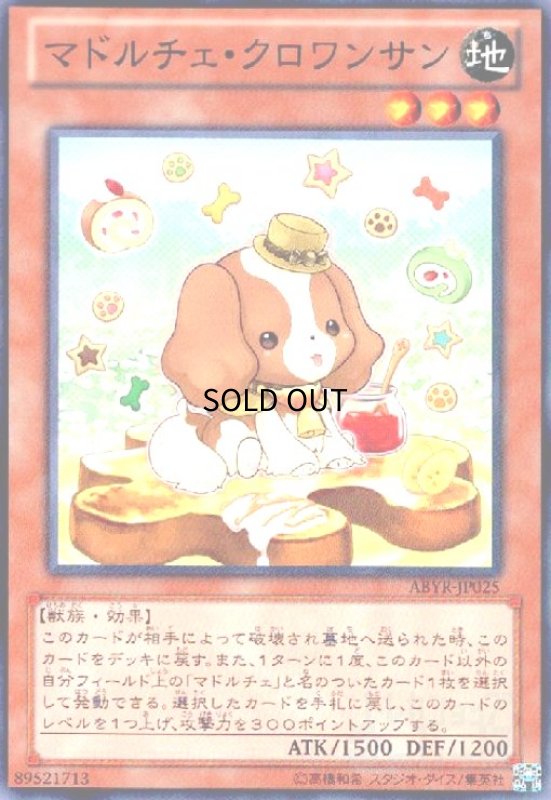 画像1: マドルチェクロワンサン(高価N) (1)