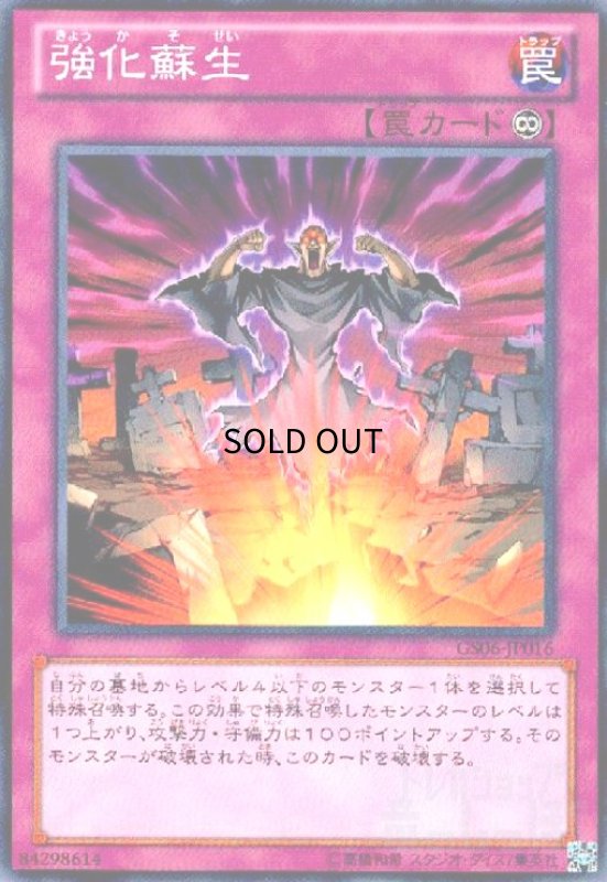 画像1: 強化蘇生(高価N) (1)