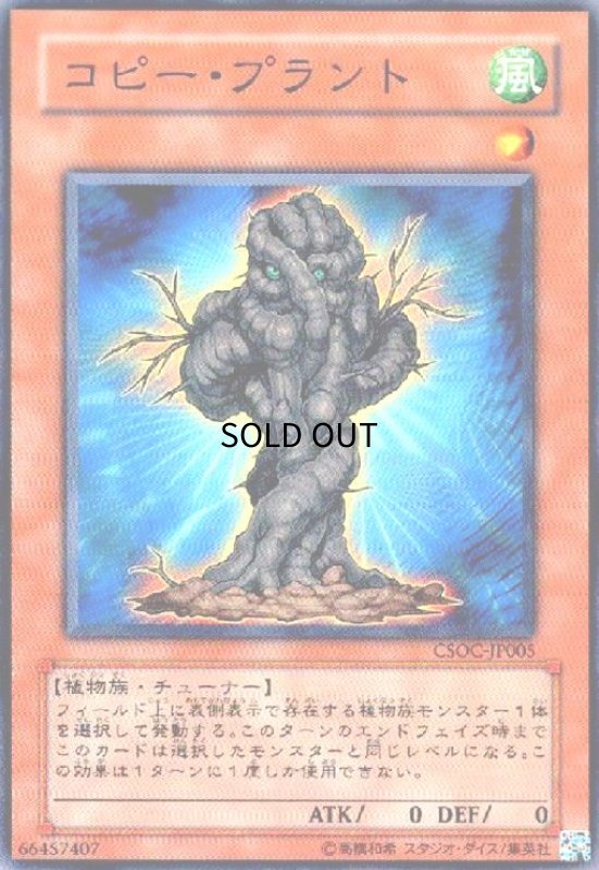画像1: コピープラント(高価N) (1)