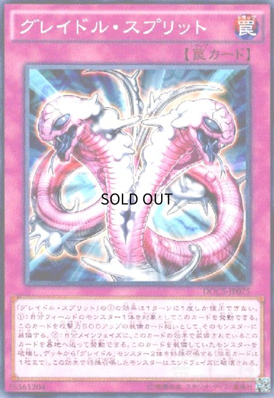 画像1: グレイドルスプリット(高価N) (1)