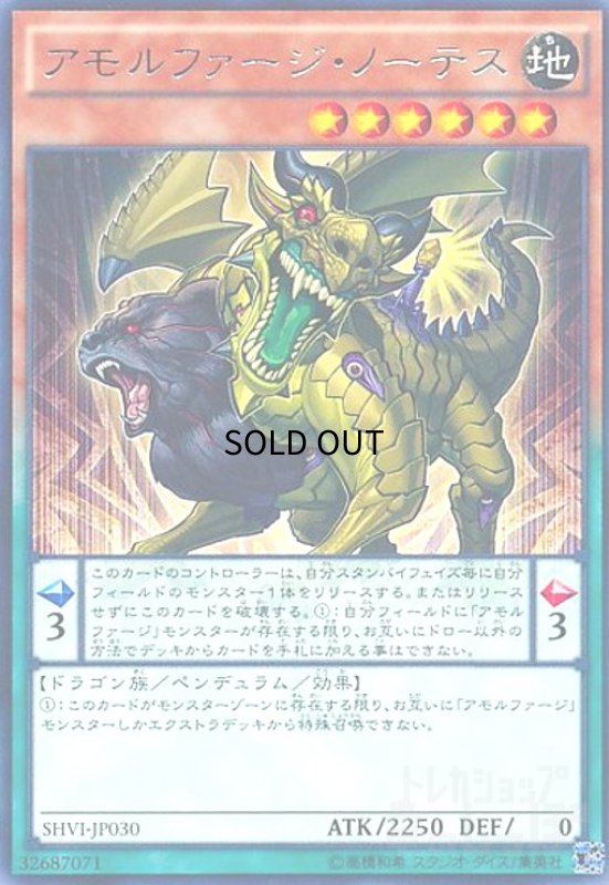画像1: アモルファージノーテス(高価N) (1)