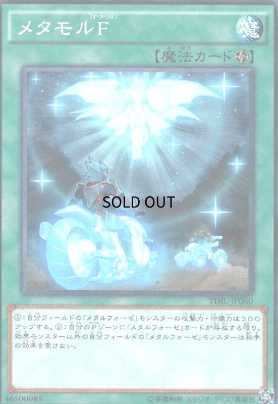 画像1: メタモルF(高価N) (1)