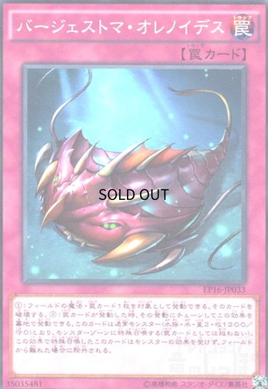 画像1: バージェストマオレノイデス(高価N) (1)