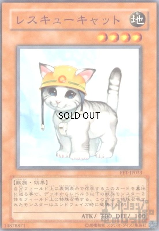 画像1: レスキューキャット(高価N) (1)