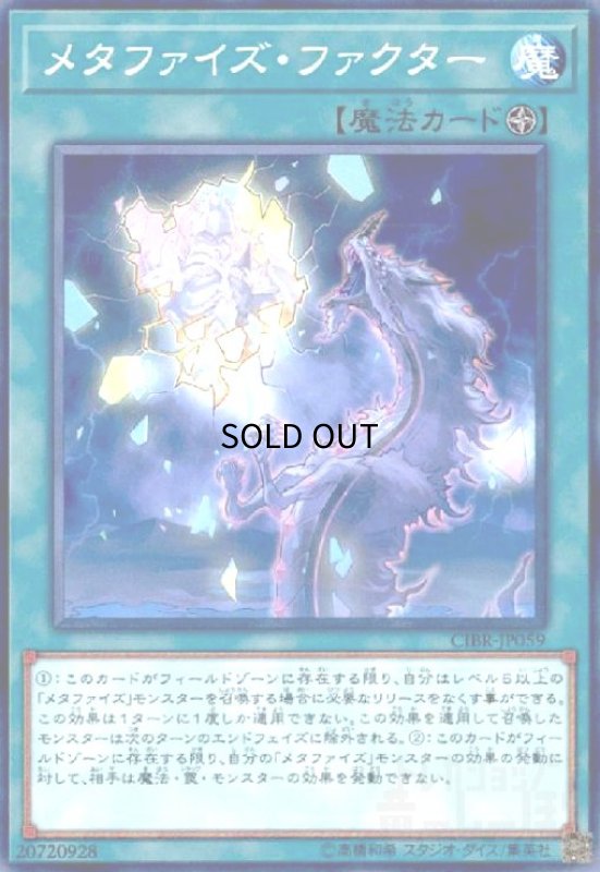 画像1: メタファイズファクター(高価N) (1)