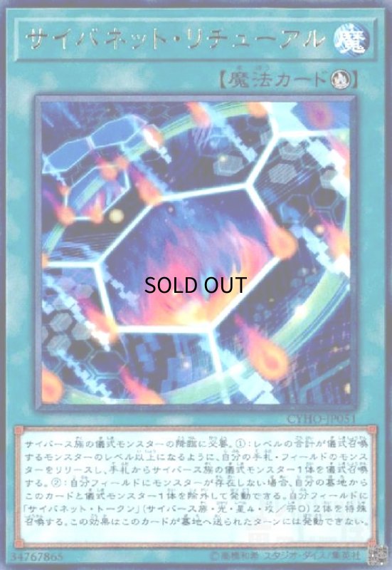 画像1: サイバネットリチューアル(高価N) (1)