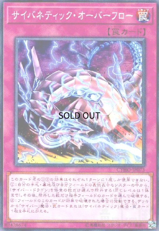 画像1: サイバネティックオーバーフロー(高価N) (1)