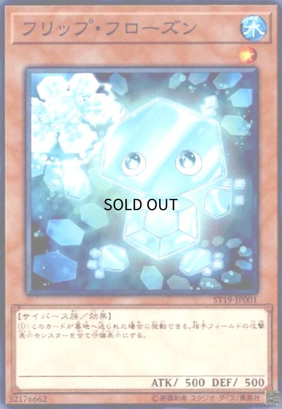 画像1: フリップフローズン(高価N) (1)