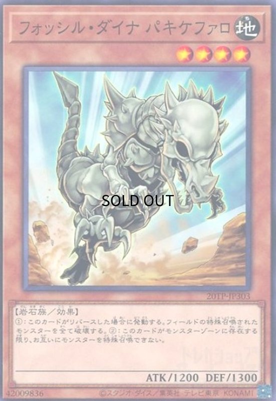 画像1: フォッシルダイナパキケファロ(高価N) (1)