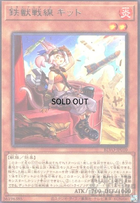 画像1: 鉄獣戦線キット(高価N) (1)