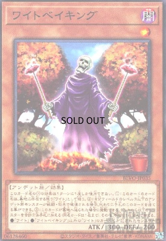 画像1: ワイトベイキング(高価N) (1)