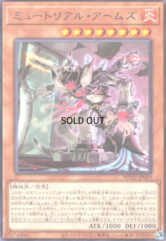 画像1: ミュートリアルアームズ(高価N) (1)