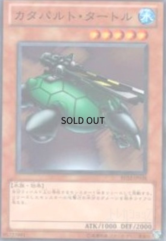 画像1: カタパルト・タートル(高価N) (1)