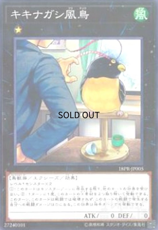 画像1: キキナガシ風鳥(高価N) (1)