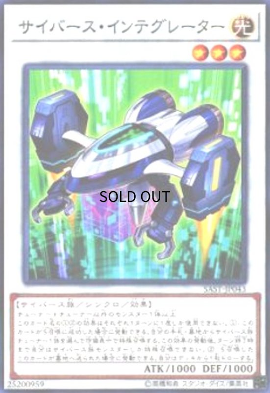 画像1: サイバース・インテグレーター(高価N) (1)