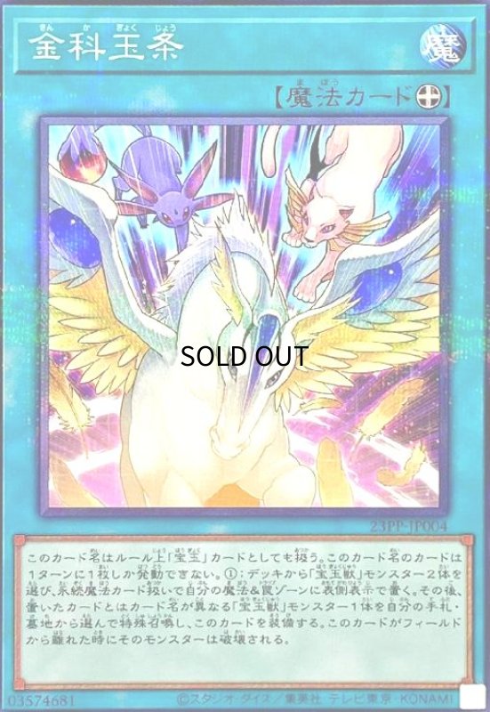 画像1: 金科玉条(ノーマルパラレル) (1)