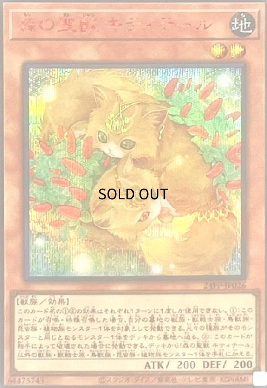 画像1: 森の聖獣 キティテール(シークレット/SP RED Ver.) (1)